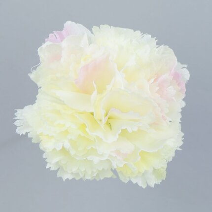 W110-82-01 W110-82-01