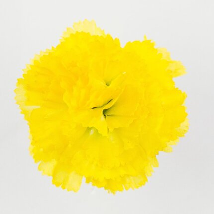 W110-85-01 W110-85-01