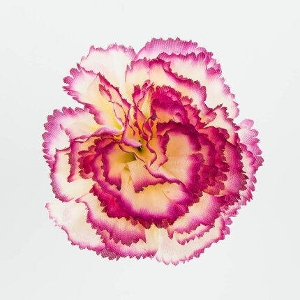 W110-87-01 W110-87-01