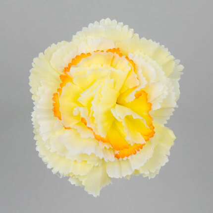 W110-88-01 W110-88-01