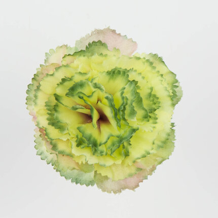 W110-89-01 W110-89-01