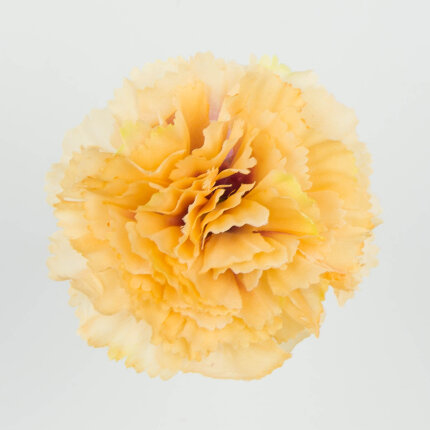 W110-90-01 W110-90-01