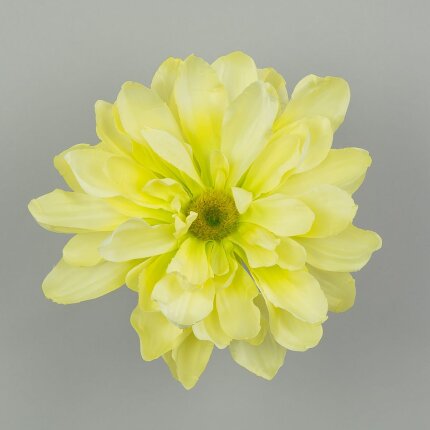 W159-018-01 W159-018-01