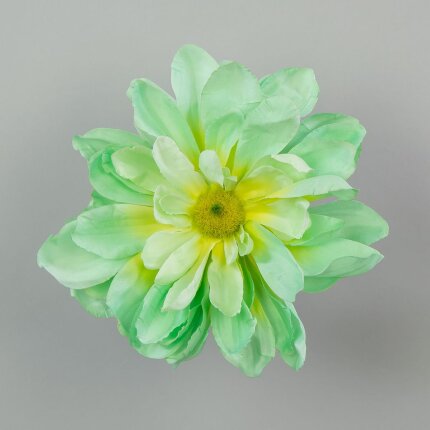 W159-029-01 W159-029-01